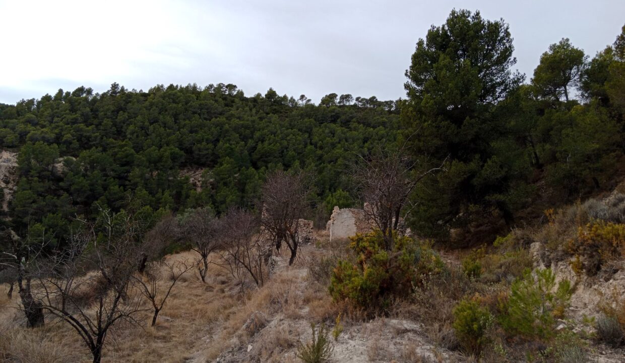 img_20240109_110548