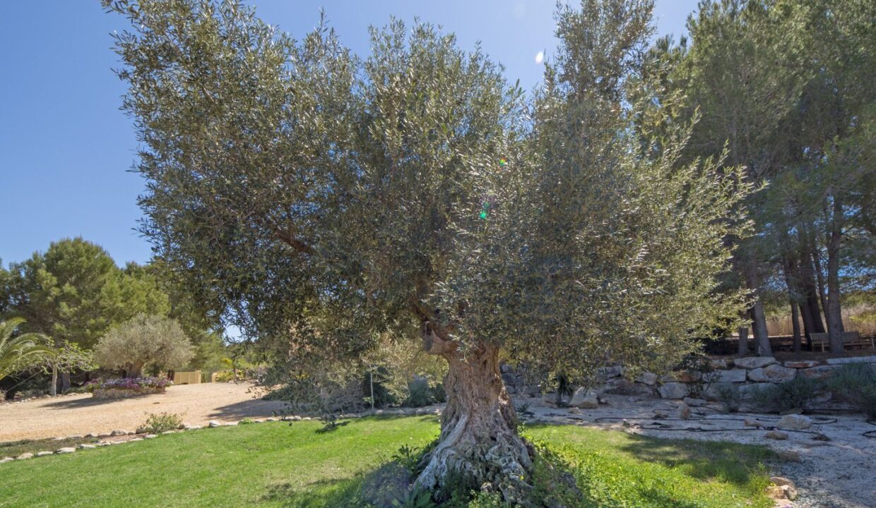 finca-pura-vida-javea-11