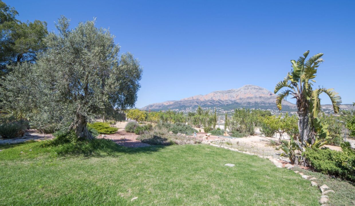 finca-pura-vida-javea-12